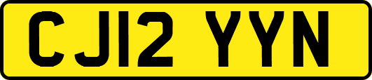 CJ12YYN