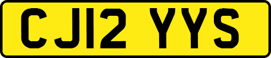 CJ12YYS
