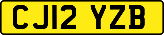 CJ12YZB