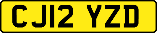 CJ12YZD