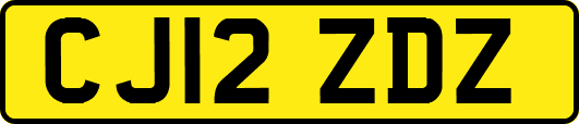 CJ12ZDZ
