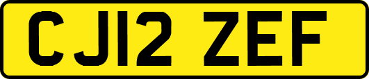 CJ12ZEF
