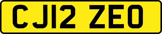CJ12ZEO