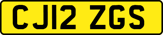 CJ12ZGS