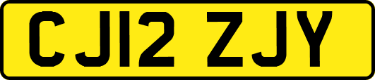 CJ12ZJY