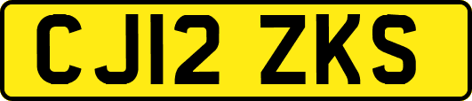 CJ12ZKS