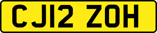 CJ12ZOH