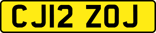 CJ12ZOJ