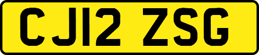 CJ12ZSG