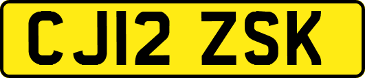 CJ12ZSK