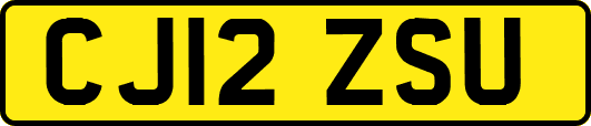 CJ12ZSU