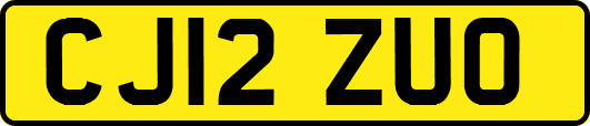CJ12ZUO