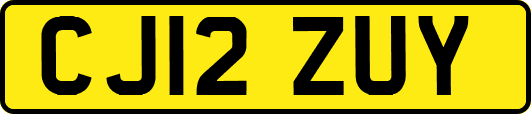 CJ12ZUY