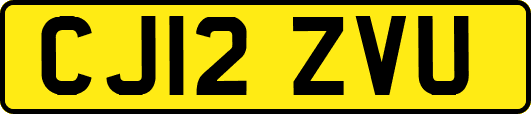 CJ12ZVU