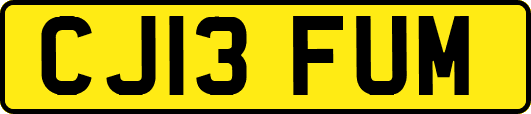 CJ13FUM