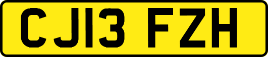 CJ13FZH