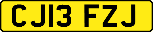 CJ13FZJ