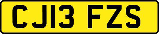 CJ13FZS