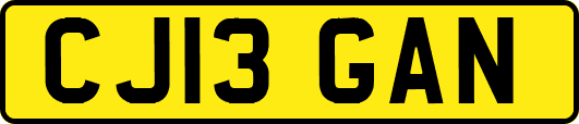 CJ13GAN
