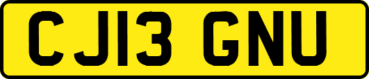 CJ13GNU