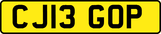 CJ13GOP
