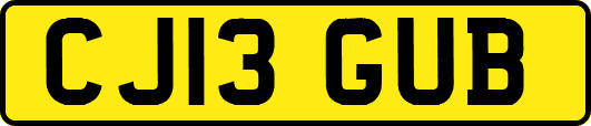 CJ13GUB