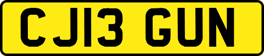CJ13GUN
