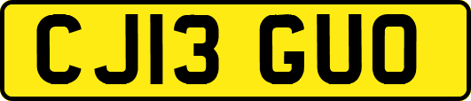 CJ13GUO