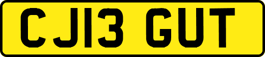 CJ13GUT