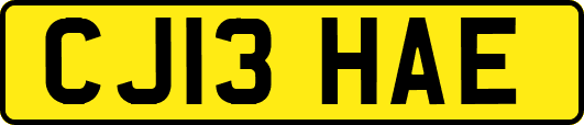 CJ13HAE