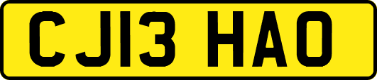 CJ13HAO