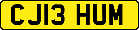 CJ13HUM