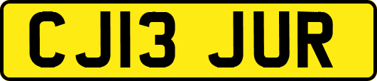 CJ13JUR