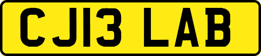 CJ13LAB