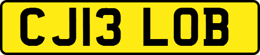 CJ13LOB