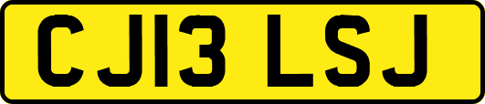 CJ13LSJ