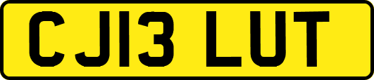 CJ13LUT