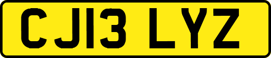 CJ13LYZ