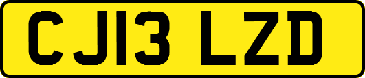 CJ13LZD