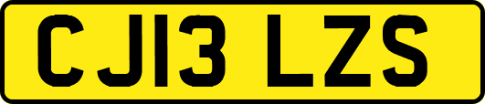 CJ13LZS