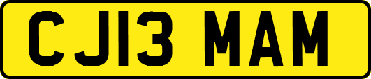 CJ13MAM