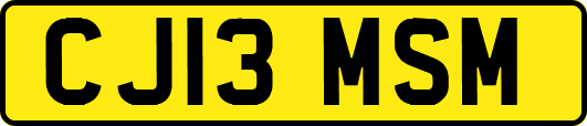 CJ13MSM