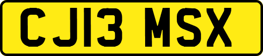 CJ13MSX