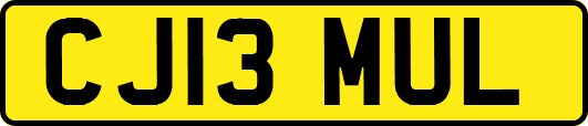 CJ13MUL
