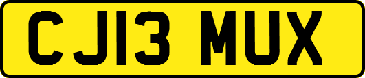 CJ13MUX
