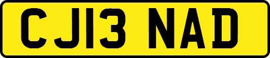 CJ13NAD