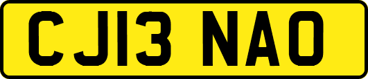 CJ13NAO