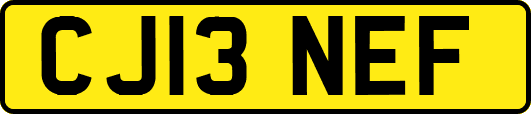 CJ13NEF