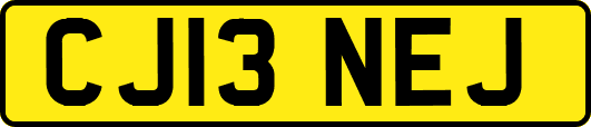 CJ13NEJ