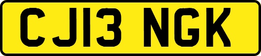 CJ13NGK